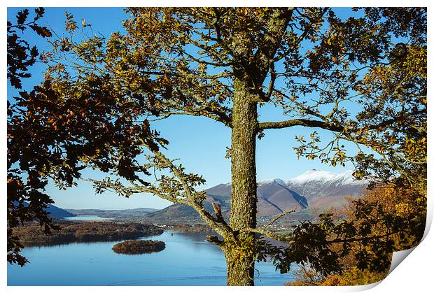 View over Derwent Water to Keswick and Skiddaw. Print by Liam Grant