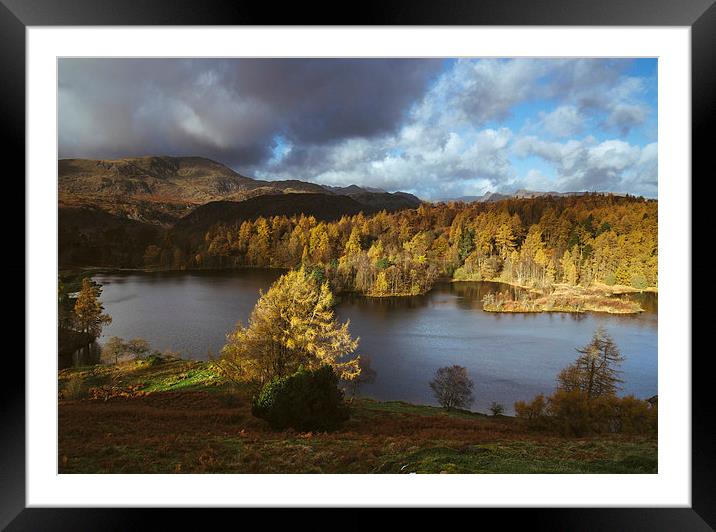 Sunlight over Tarn Hows with Wetherlam and Langdal Framed Mounted Print by Liam Grant