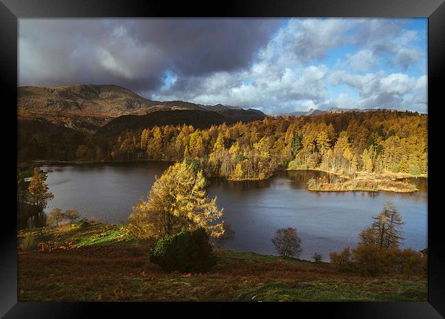 Sunlight over Tarn Hows with Wetherlam and Langdal Framed Print by Liam Grant