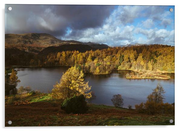 Sunlight over Tarn Hows with Wetherlam and Langdal Acrylic by Liam Grant
