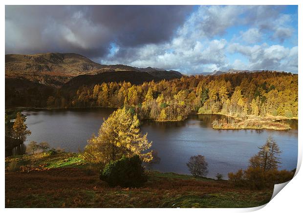 Sunlight over Tarn Hows with Wetherlam and Langdal Print by Liam Grant