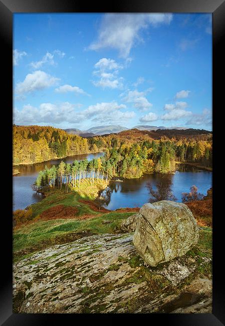 Sunlight over Tarn Hows with Helvellyn beyond. Framed Print by Liam Grant
