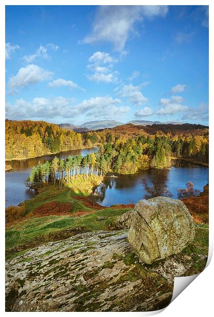 Sunlight over Tarn Hows with Helvellyn beyond. Print by Liam Grant