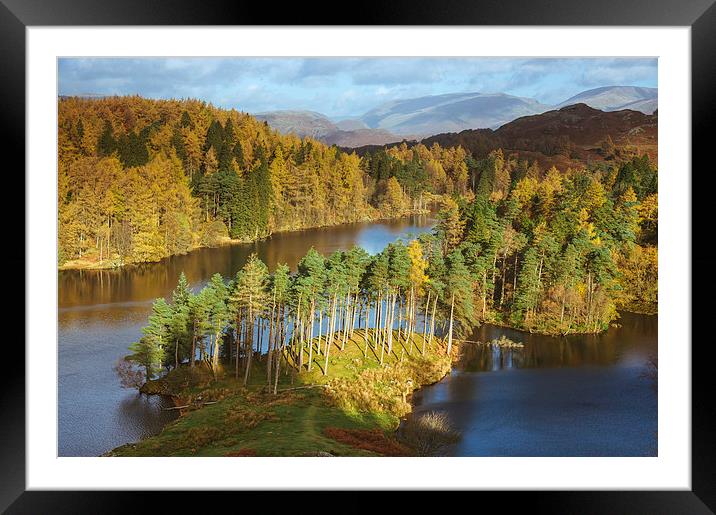Sunlight over Tarn Hows with Helvellyn beyond. Framed Mounted Print by Liam Grant