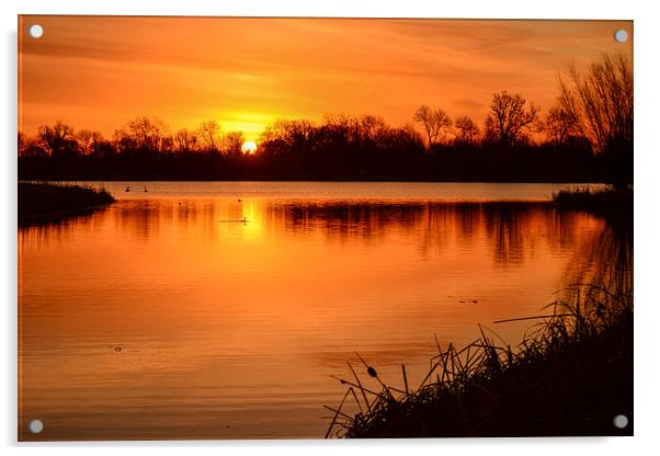 Sunrise over the lake Acrylic by Keith Douglas