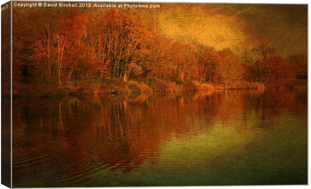 The Feel Of Autumn Canvas Print by David Birchall