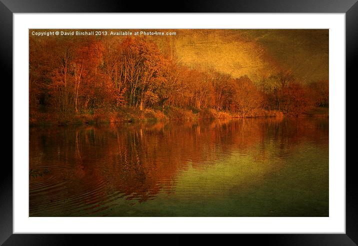 The Feel Of Autumn Framed Mounted Print by David Birchall