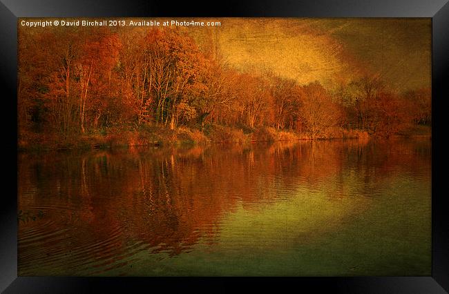 The Feel Of Autumn Framed Print by David Birchall