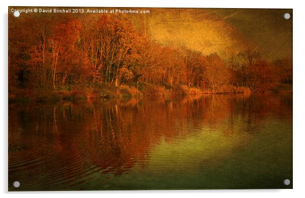 The Feel Of Autumn Acrylic by David Birchall