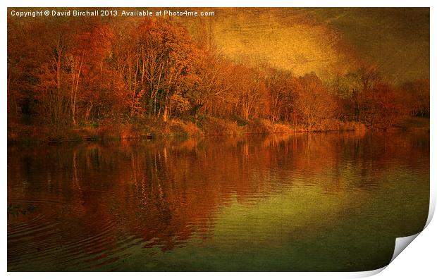 The Feel Of Autumn Print by David Birchall