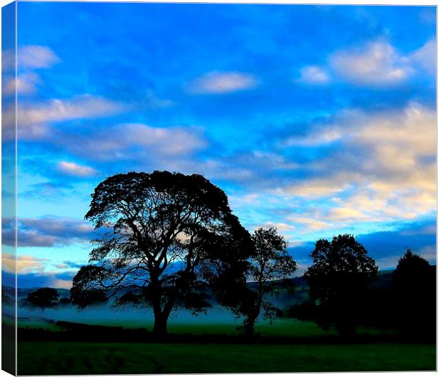 Welsh Sunrise Canvas Print by Laura Kenny