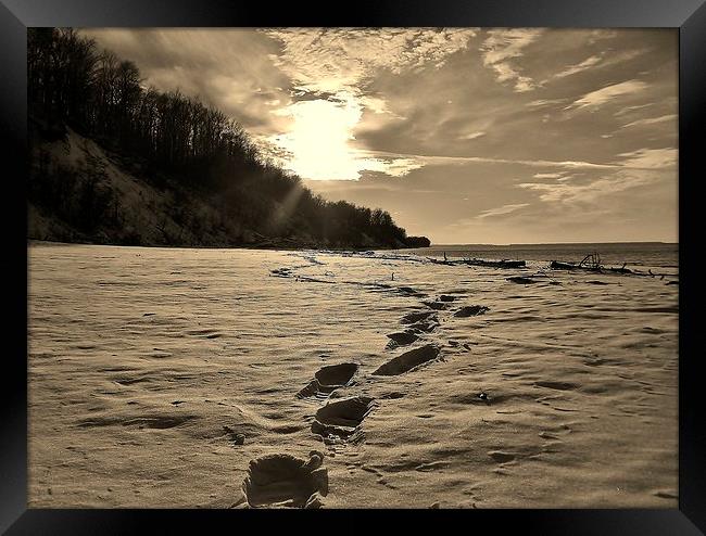 A winters shore walk. Framed Print by Jeffrey Evans