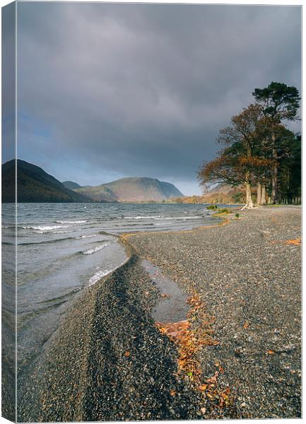 Sunlight on the shore of Buttermere. Canvas Print by Liam Grant