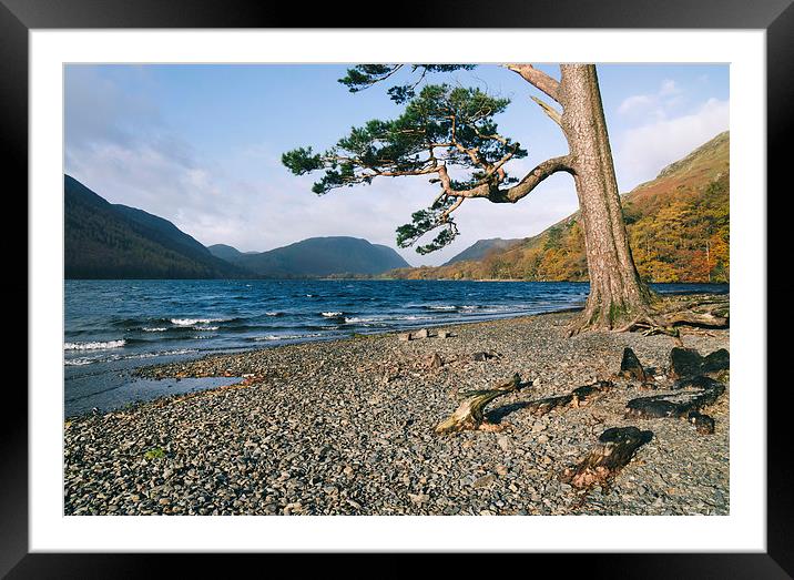 Sunlight on the shore of Buttermere. Framed Mounted Print by Liam Grant