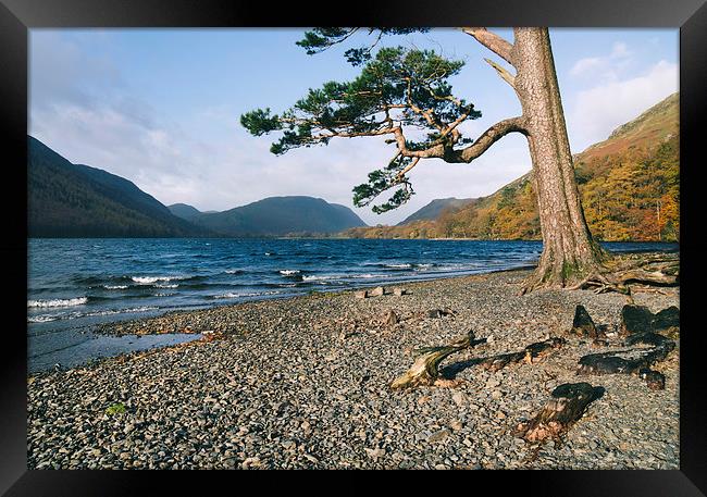 Sunlight on the shore of Buttermere. Framed Print by Liam Grant