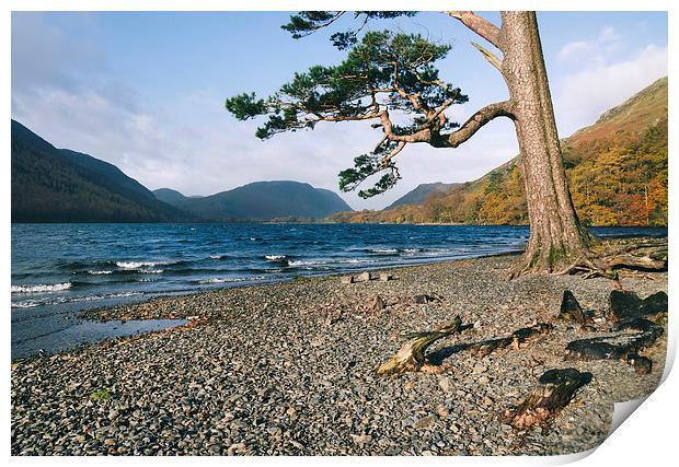 Sunlight on the shore of Buttermere. Print by Liam Grant