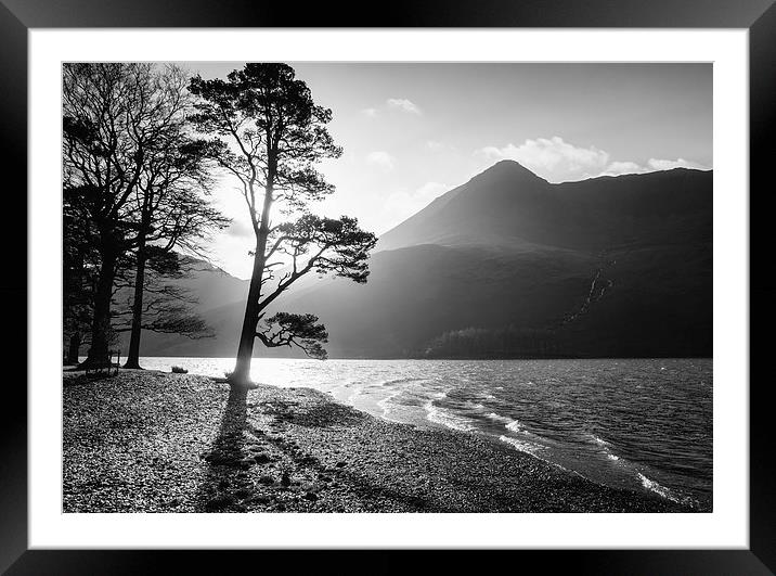 Silhouetted tree on the shore of Buttermere with H Framed Mounted Print by Liam Grant