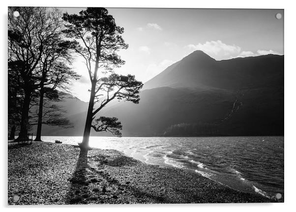 Silhouetted tree on the shore of Buttermere with H Acrylic by Liam Grant