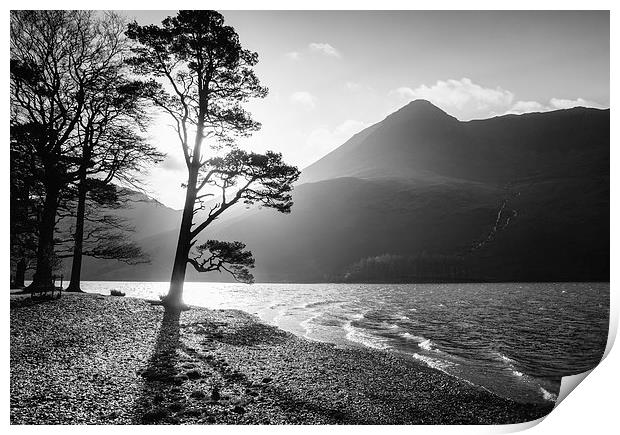 Silhouetted tree on the shore of Buttermere with H Print by Liam Grant