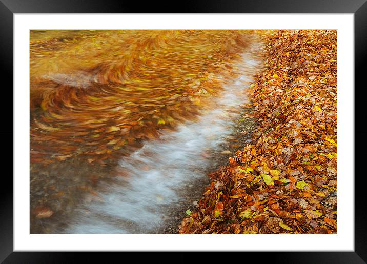 Abstract of autumnal leaves in the waves on Butter Framed Mounted Print by Liam Grant