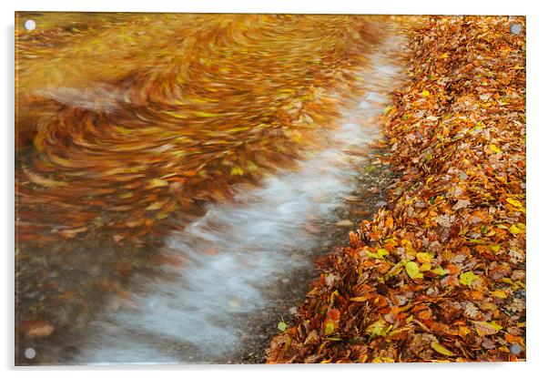 Abstract of autumnal leaves in the waves on Butter Acrylic by Liam Grant