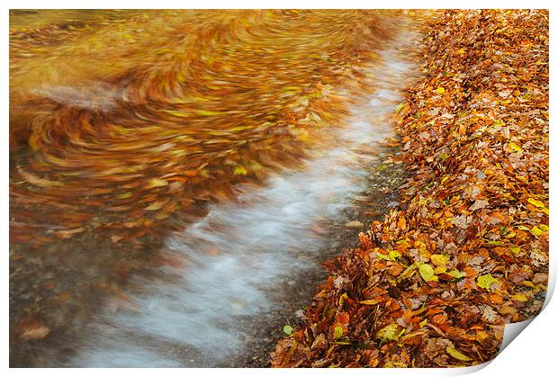Abstract of autumnal leaves in the waves on Butter Print by Liam Grant