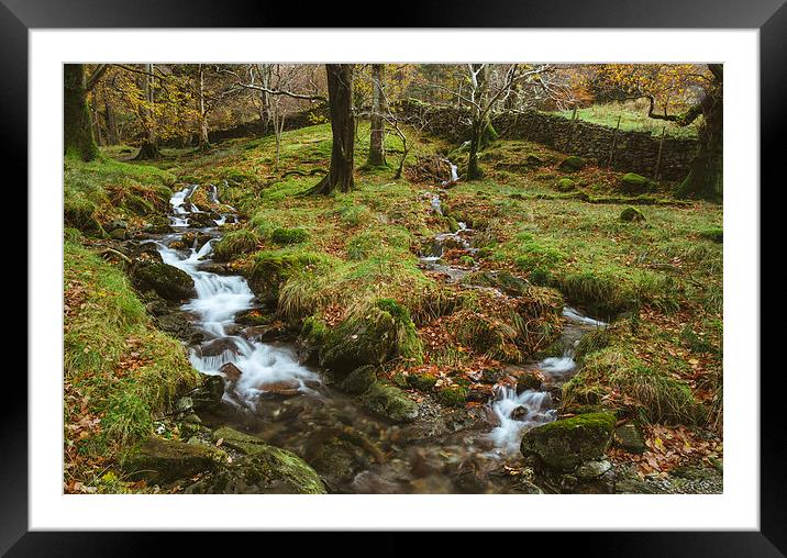 Woodland stream waterfall near Buttermere. Framed Mounted Print by Liam Grant