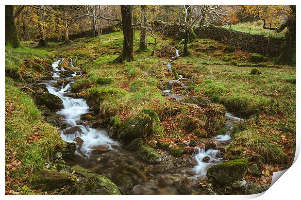 Woodland stream waterfall near Buttermere. Print by Liam Grant