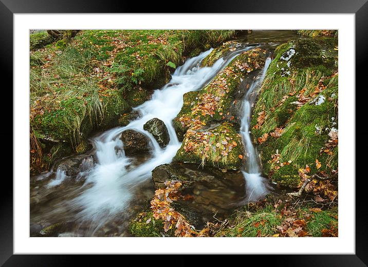 Woodland stream waterfall near Buttermere. Framed Mounted Print by Liam Grant