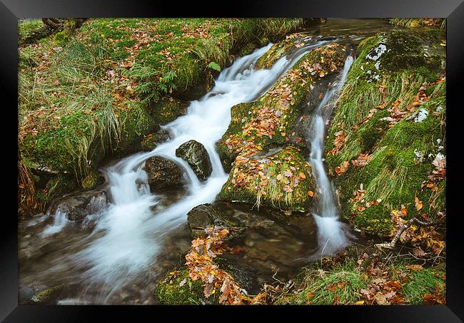 Woodland stream waterfall near Buttermere. Framed Print by Liam Grant