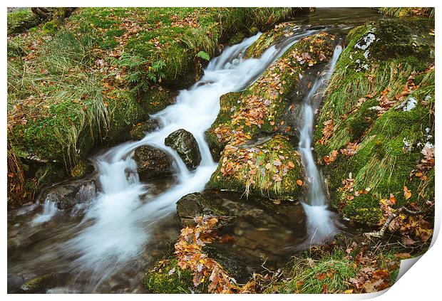 Woodland stream waterfall near Buttermere. Print by Liam Grant