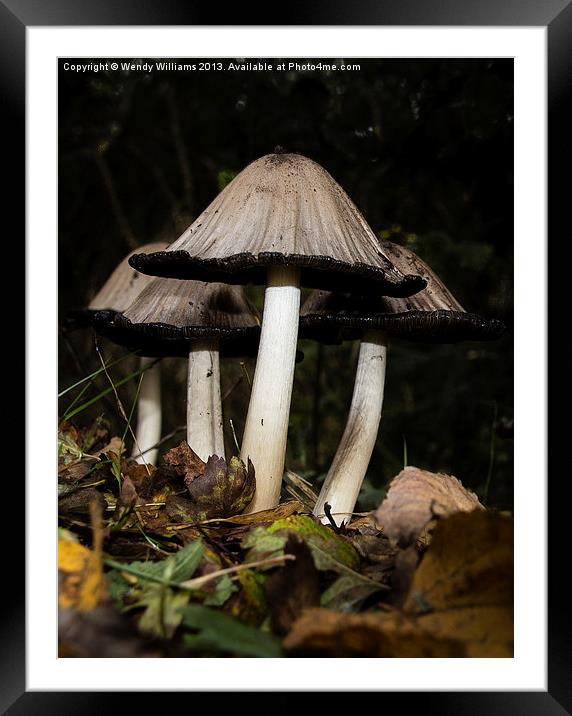 Common Ink Cap Framed Mounted Print by Wendy Williams CPAGB