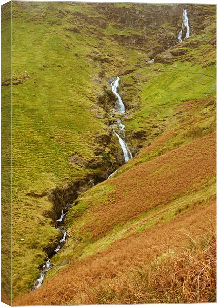 Moss Force waterfall near Newlands Hause below Rob Canvas Print by Liam Grant