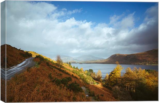 Evening light over Derwent Water. Canvas Print by Liam Grant