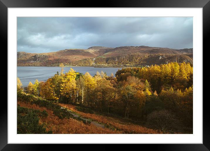 Evening light over Derwent Water. Framed Mounted Print by Liam Grant
