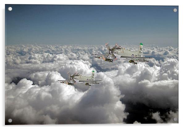 Douglas Skyraider Acrylic by J Biggadike