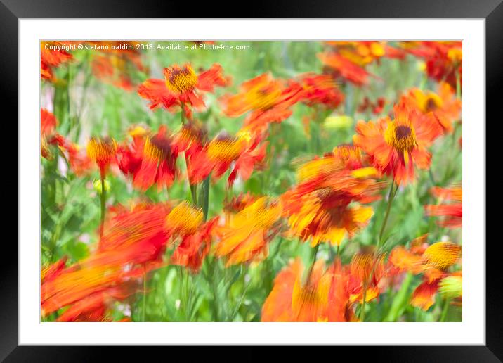 Flower background Framed Mounted Print by stefano baldini