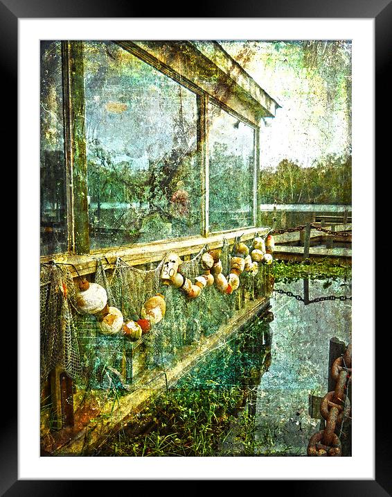 River Life Framed Mounted Print by Judy Hall-Folde