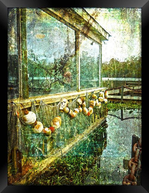 River Life Framed Print by Judy Hall-Folde