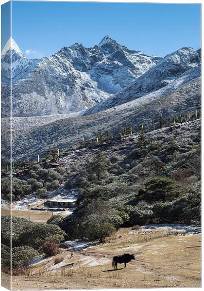 Prayer Flags Canvas Print by Gail Johnson