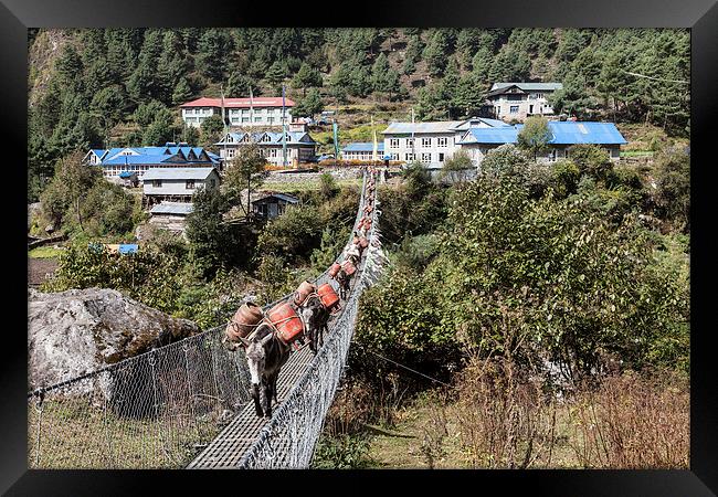 Mule Train going over a suspension bridge Framed Print by Gail Johnson