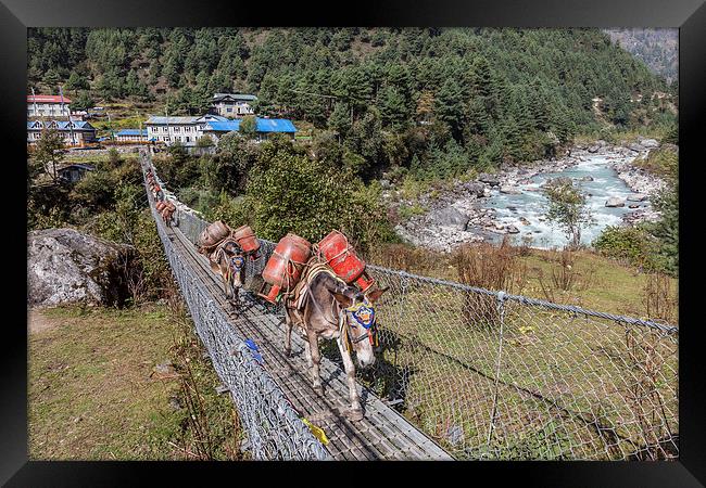 Mule Train going over a suspension bridge Framed Print by Gail Johnson