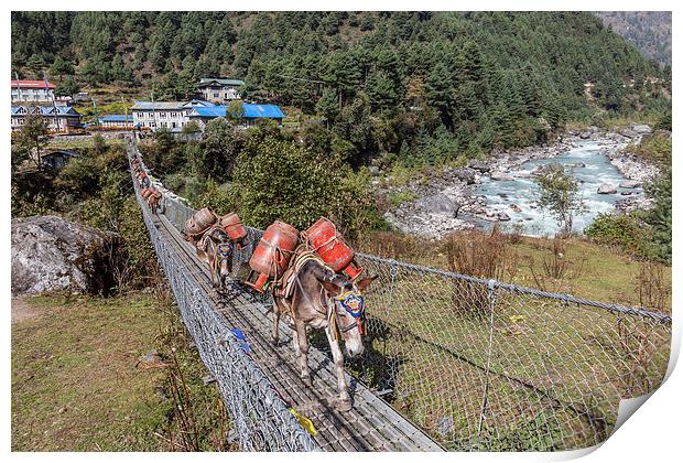Mule Train going over a suspension bridge Print by Gail Johnson