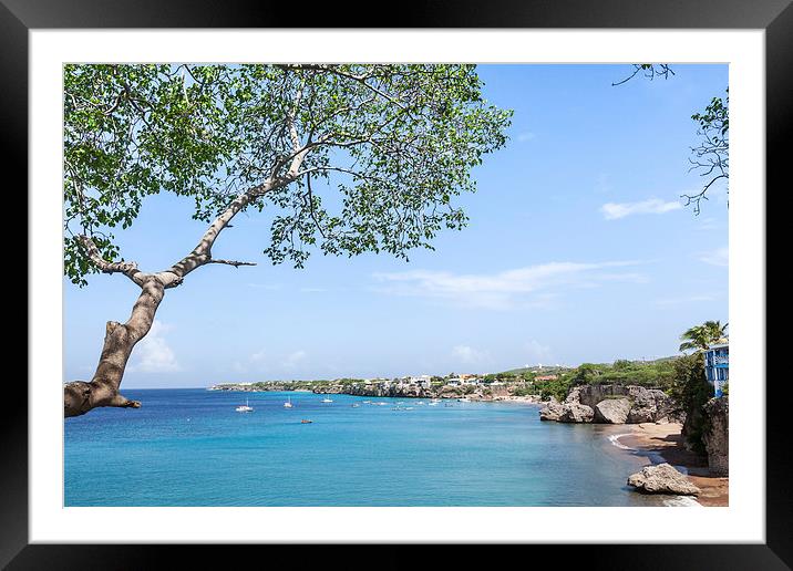 Westpunt , Curacao Framed Mounted Print by Gail Johnson
