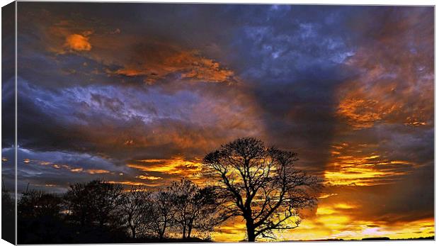 Trees at Sunset Canvas Print by Eric Watson