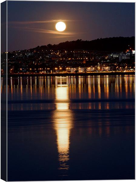 Moonlight shadow Canvas Print by Lorraine Paterson