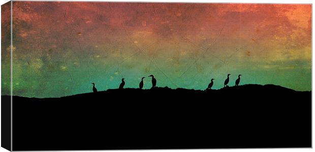 cormorants - Northern Lights Canvas Print by Heather Newton