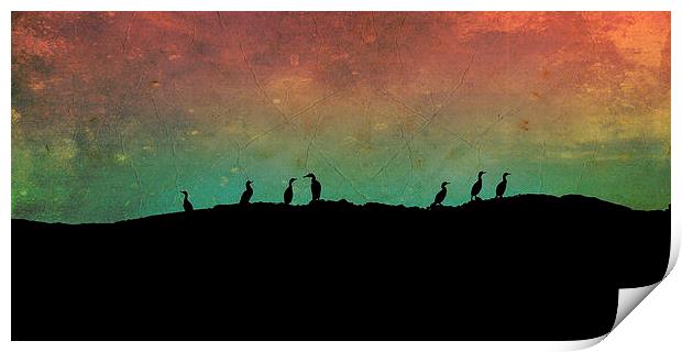 cormorants - Northern Lights Print by Heather Newton