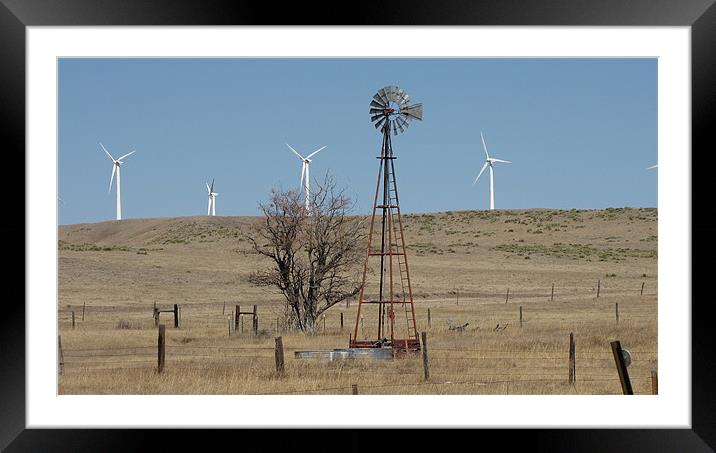 Windmills o547 Framed Mounted Print by Don Brady