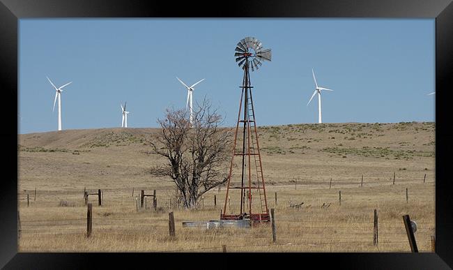 Windmills o547 Framed Print by Don Brady